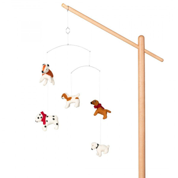 Quax jtkszett llvnyhoz - Dogs